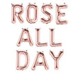 Rose Gold 16 Balloon Banner